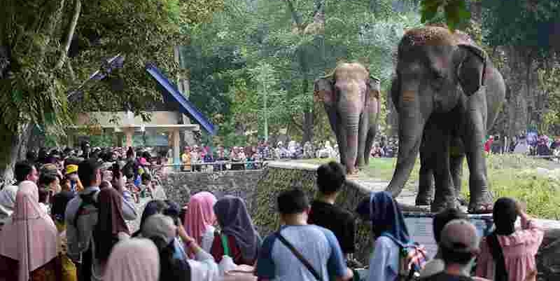 Taman Ragunan: Meningkatkan Kualitas Konservasi Satwa