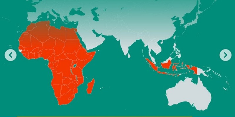 Jembatan Ekonomi: Indonesia dan Afrika Bersinergi