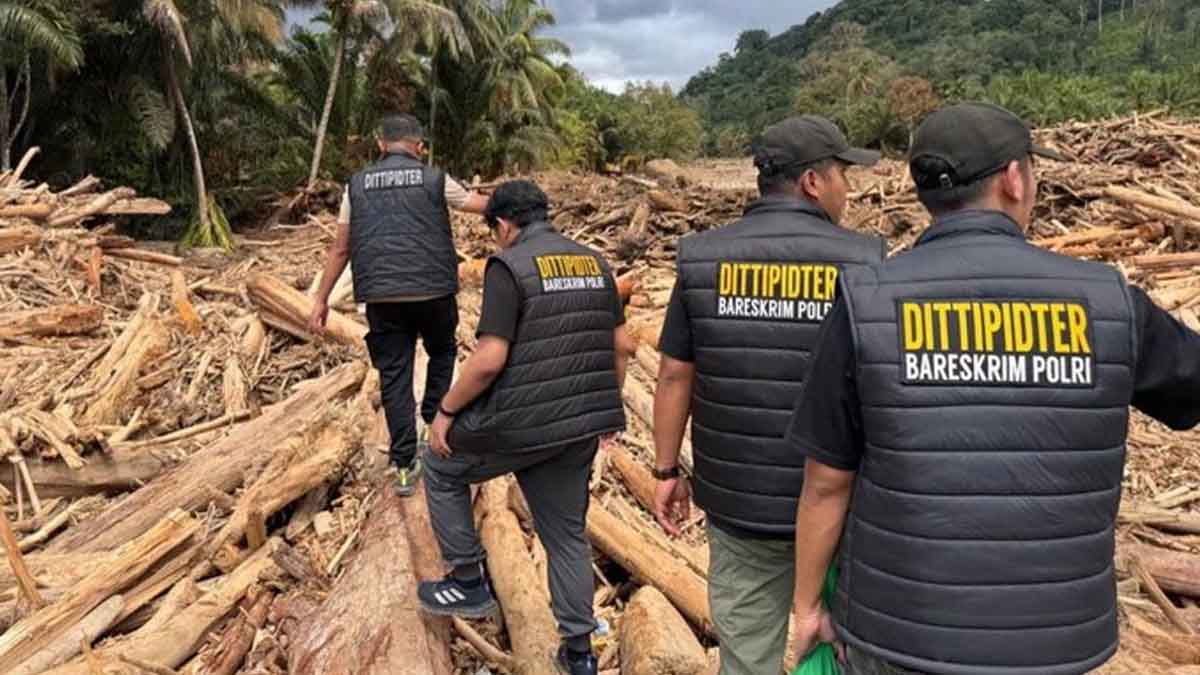 Bareskrim Polri Usut Tuntas Kasus Kayu Gelondongan Sumut