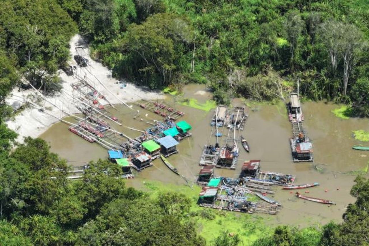 Hukum Tegas untuk Penambangan Emas Ilegal di Tanjung Puting