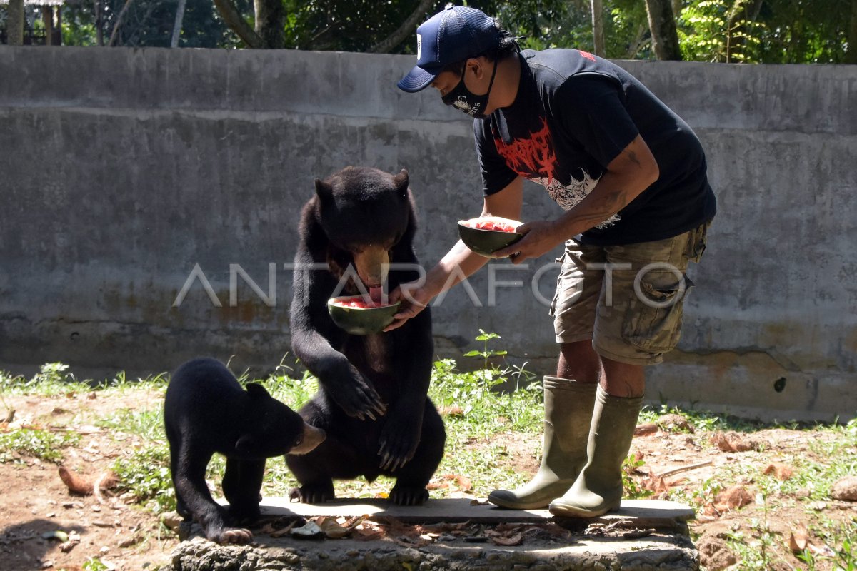 Pelestarian Satwa: BKSDA Bali Selamatkan Burung dan Primata