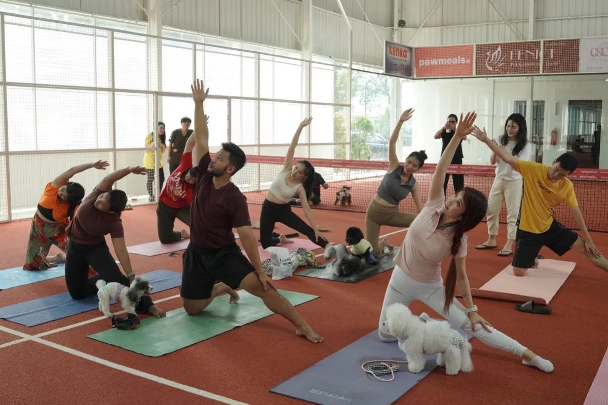 JIPS 2026 Digelar 3-5 Juli: Yoga Bersama Anjing & Mini Zoo