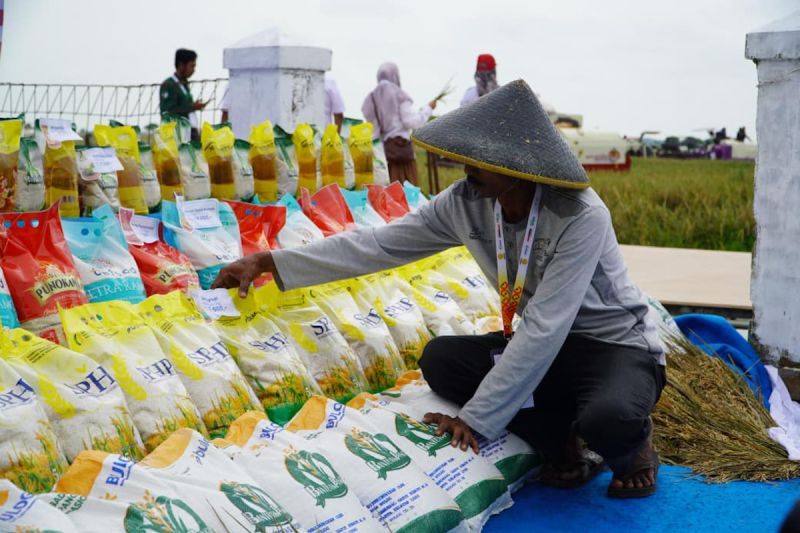 Bapanas Catat Penyaluran CBP 7,7 Juta Ton ke Masyarakat