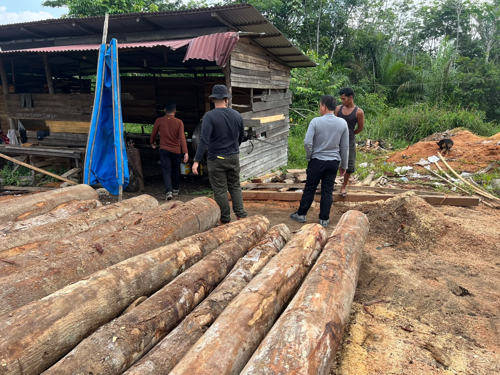 Polda Riau Gerebek Pengolahan Kayu Ilegal di Kampar